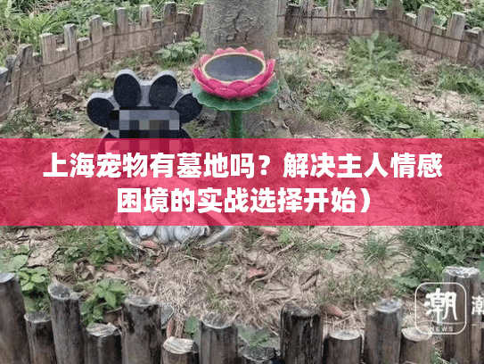 上海宠物有墓地吗？解决主人情感困境的实战选择开始）