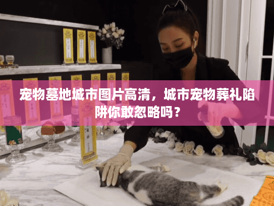 宠物墓地城市图片高清，城市宠物葬礼陷阱你敢忽略吗？