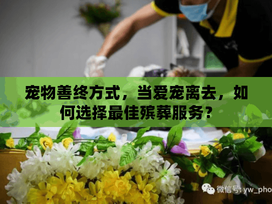 宠物善终方式，当爱宠离去，如何选择最佳殡葬服务？