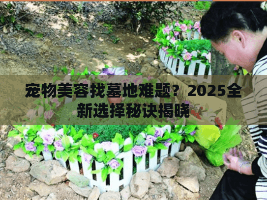 宠物美容找墓地难题?2025全新选择秘诀揭晓 宠物美容找墓地难题?2025全新选择秘诀揭晓