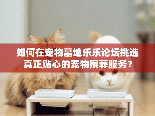 如何在宠物墓地乐乐论坛挑选真正贴心的宠物殡葬服务？