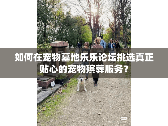 如何在宠物墓地乐乐论坛挑选真正贴心的宠物殡葬服务？