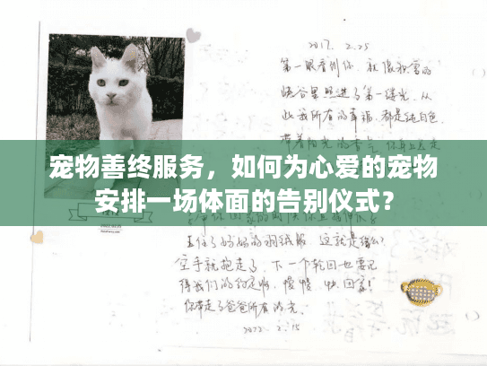 宠物善终服务，如何为心爱的宠物安排一场体面的告别仪式？