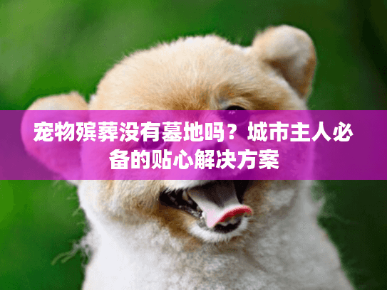 宠物殡葬没有墓地吗？城市主人必备的贴心解决方案
