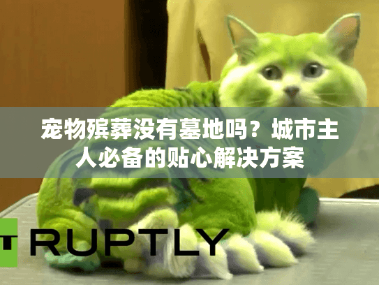 宠物殡葬没有墓地吗？城市主人必备的贴心解决方案