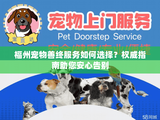 福州宠物善终服务如何选择？权威指南助您安心告别