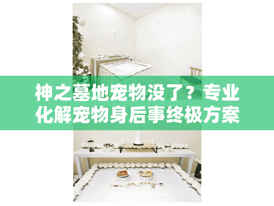 神之墓地宠物没了？专业化解宠物身后事终极方案