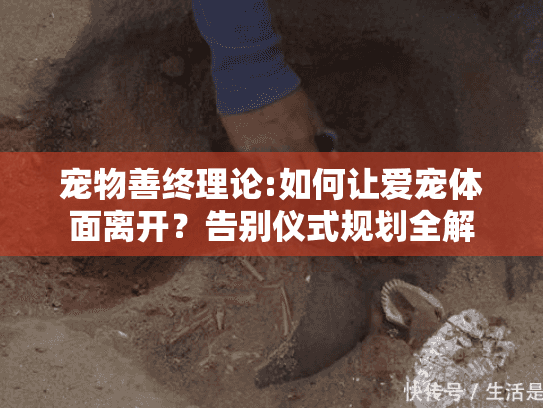 宠物善终理论:如何让爱宠体面离开？告别仪式规划全解