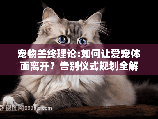 宠物善终理论:如何让爱宠体面离开？告别仪式规划全解