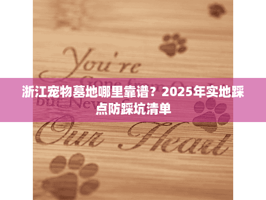 浙江宠物墓地哪里靠谱？2025年实地踩点防踩坑清单