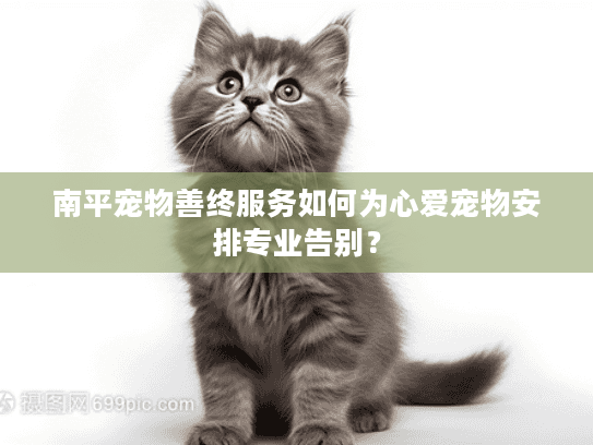 南平宠物善终服务如何为心爱宠物安排专业告别？