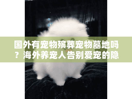 国外有宠物殡葬宠物墓地吗？海外养宠人告别爱宠的隐秘方案