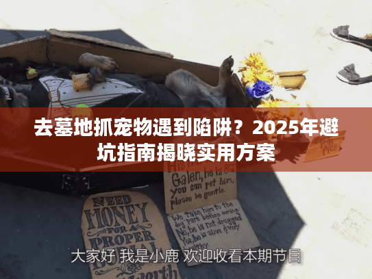 去墓地抓宠物遇到陷阱？2025年避坑指南揭晓实用方案