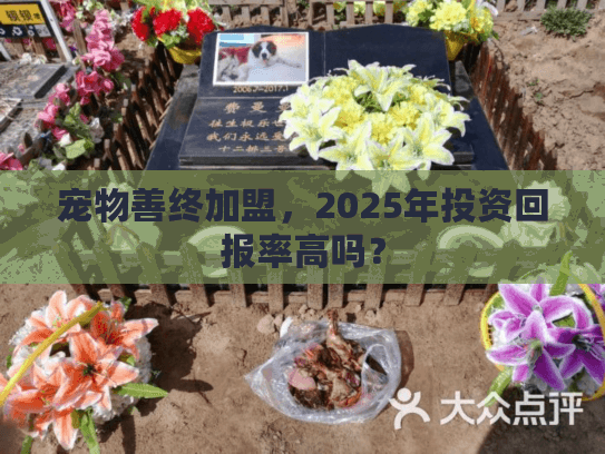 宠物善终加盟，2025年投资回报率高吗？