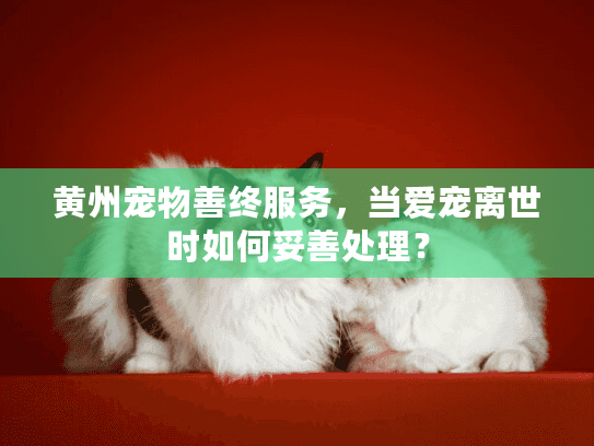 黄州宠物善终服务，当爱宠离世时如何妥善处理？