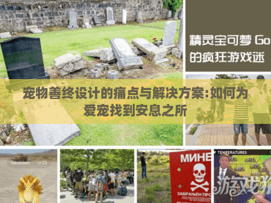 宠物善终设计的痛点与解决方案:如何为爱宠找到安息之所
