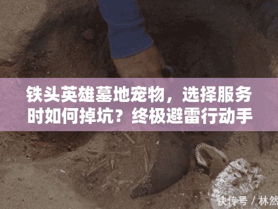 铁头英雄墓地宠物，选择服务时如何掉坑？终极避雷行动手册