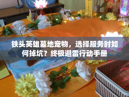 铁头英雄墓地宠物，选择服务时如何掉坑？终极避雷行动手册