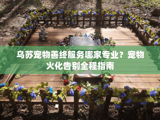 乌苏宠物善终服务哪家专业？宠物火化告别全程指南