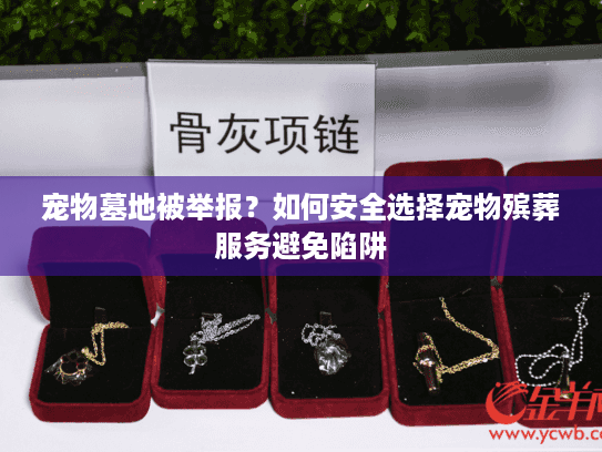 宠物墓地被举报？如何安全选择宠物殡葬服务避免陷阱