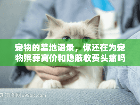 宠物的墓地语录，你还在为宠物殡葬高价和隐蔽收费头痛吗？