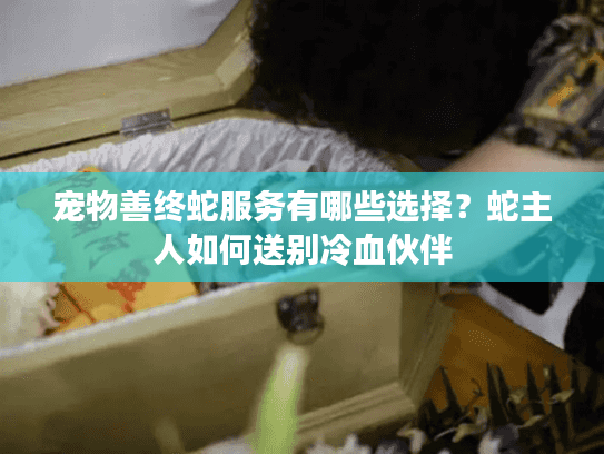 宠物善终蛇服务有哪些选择？蛇主人如何送别冷血伙伴