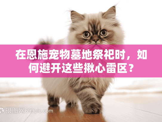 在恩施宠物墓地祭祀时，如何避开这些揪心雷区？