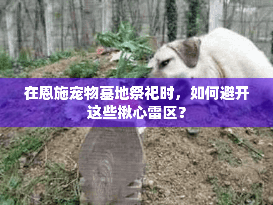 在恩施宠物墓地祭祀时，如何避开这些揪心雷区？