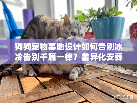 狗狗宠物墓地设计如何告别冰冷告别千篇一律？差异化安葬指南