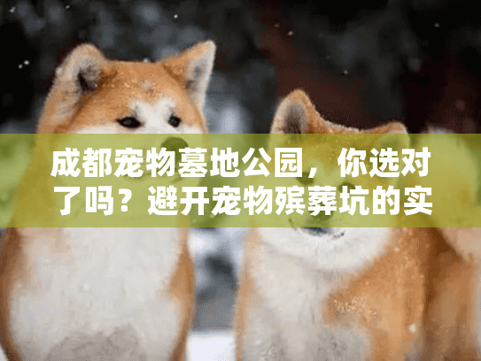 成都宠物墓地公园，你选对了吗？避开宠物殡葬坑的实战方案