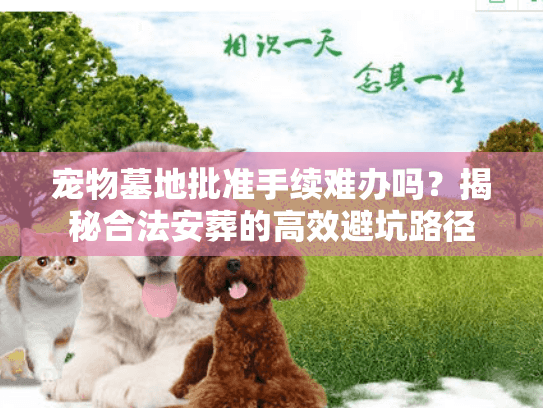 宠物墓地批准手续难办吗？揭秘合法安葬的高效避坑路径