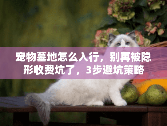 宠物墓地怎么入行，别再被隐形收费坑了，3步避坑策略