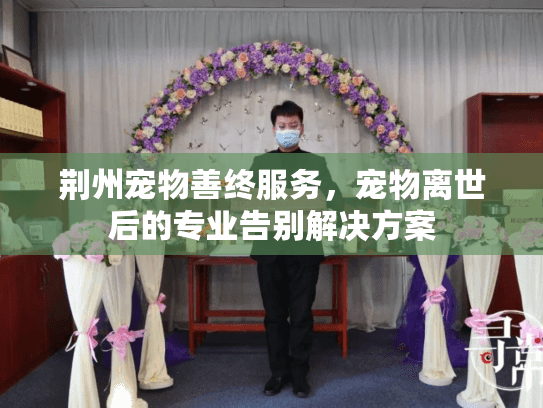 荆州宠物善终服务，宠物离世后的专业告别解决方案