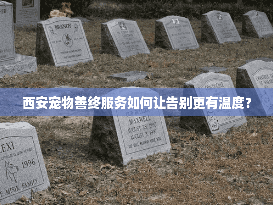 西安宠物善终服务如何让告别更有温度？