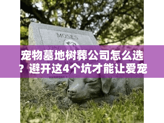 宠物墓地树葬公司怎么选？避开这4个坑才能让爱宠安息