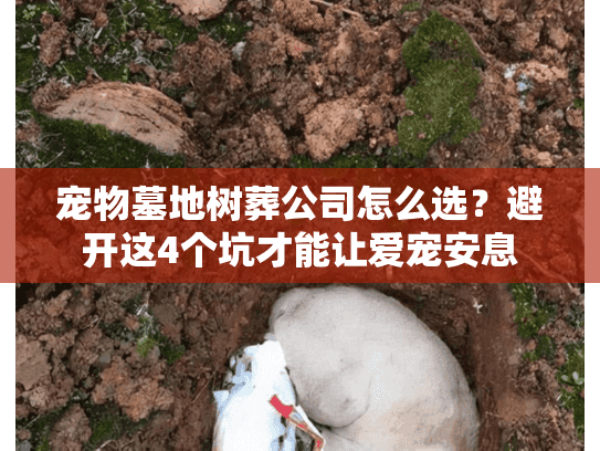 宠物墓地树葬公司怎么选？避开这4个坑才能让爱宠安息