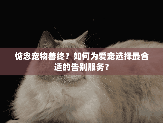 惦念宠物善终？如何为爱宠选择最合适的告别服务？