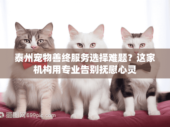 泰州宠物善终服务选择难题？这家机构用专业告别抚慰心灵