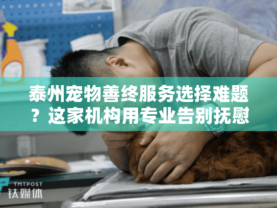 泰州宠物善终服务选择难题？这家机构用专业告别抚慰心灵
