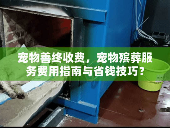 宠物善终收费，宠物殡葬服务费用指南与省钱技巧？