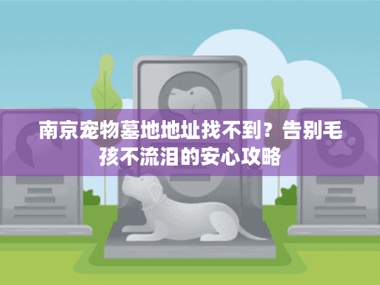 南京宠物墓地地址找不到？告别毛孩不流泪的安心攻略