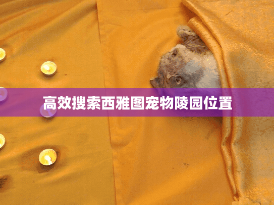 高效搜索西雅图宠物陵园位置