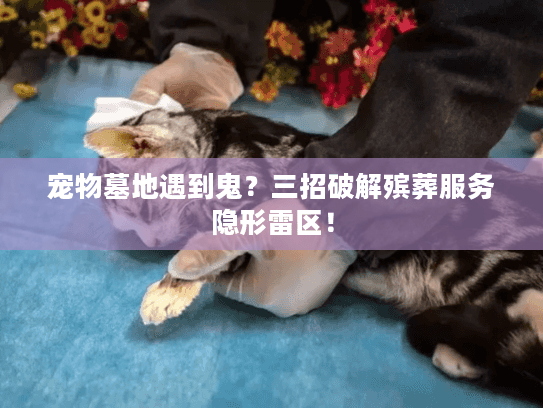 宠物墓地遇到鬼？三招破解殡葬服务隐形雷区！