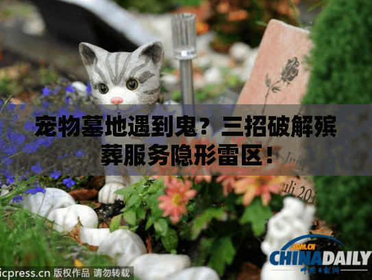 宠物墓地遇到鬼？三招破解殡葬服务隐形雷区！