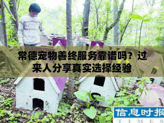 常德宠物善终服务靠谱吗？过来人分享真实选择经验
