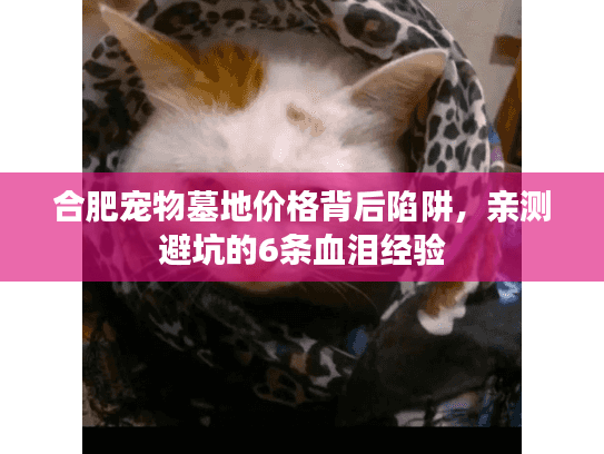 合肥宠物墓地价格背后陷阱,亲测避坑的6条血泪经验 合肥宠物墓地价格背后陷阱,亲测避坑的6条血泪经验