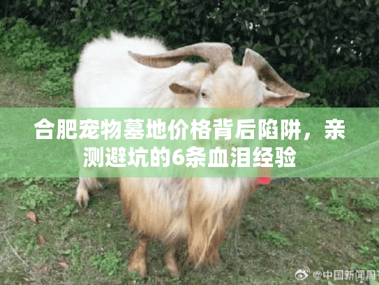 合肥宠物墓地价格背后陷阱,亲测避坑的6条血泪经验 合肥宠物墓地价格背后陷阱,亲测避坑的6条血泪经验