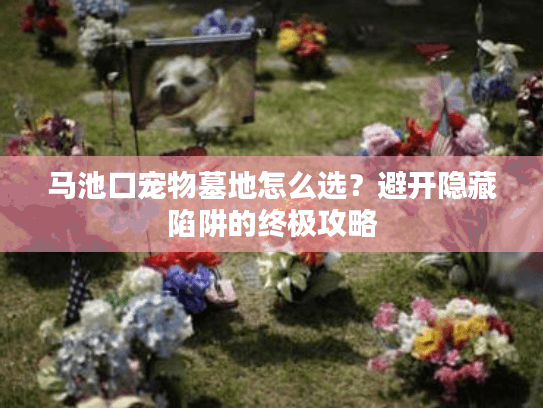 马池口宠物墓地怎么选？避开隐藏陷阱的终极攻略