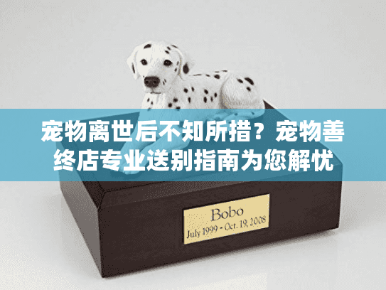 宠物离世后不知所措？宠物善终店专业送别指南为您解忧