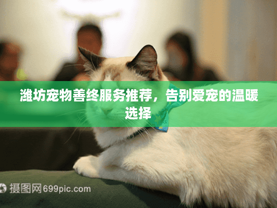 潍坊宠物善终服务推荐，告别爱宠的温暖选择